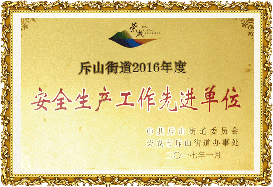 資質(zhì)榮譽